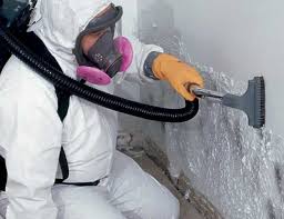 Forensic Mold Investigation